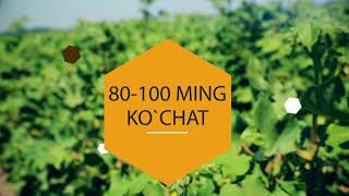 UZAGROKIMYOHIMOYA DEHQON VA FERMERLARGA MUROJAAT BILAN CHIQDI