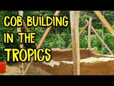 Cob Building in The Tropics - My Recommendations