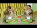 Awesome Monkey!! Monkey Kako Use Spoon To Eat Fried Rice Without Mom Help