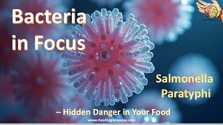 🦠⚠️ Bacteria in Focus: Salmonella Paratyphi – Hidden Danger in Your Food