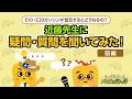 【前編】E10・E20ガソリンが普及するとどうなるの？近藤先生に疑問・質問を聞いてみた【特別インタビュー】