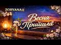 Zoryana Style Весна прийшла Кліп від якого щемить серце Класика яка обіцяє сильні емоції
