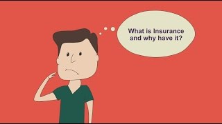 Cartoon insurance