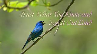 Trust What You Know and Say It Out Loud