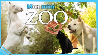 ANIMAL TOUR  Présentation de mes animaux (Chevaux, chiens, chats, reptiles... 2022)