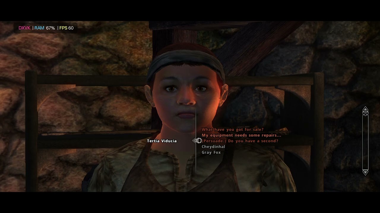 Oblivion with Mods on Android. Gamehub AnTuTu. Dimensity 8350 Mali GPU. Ultra Settings.