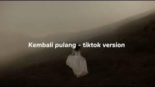 kembali pulang - suara kayu ft febry putri//sped up tiktok version