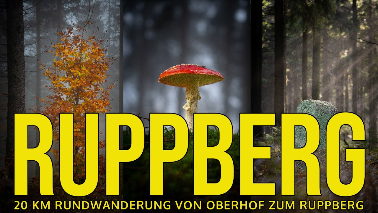 🇩🇪 RUPPBERG - 20 km Rundwanderung von Oberhof zum Ruppberg Rennsteig ...