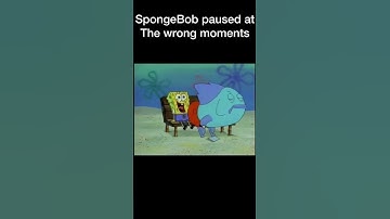 SpongeBob paused at the wrong time