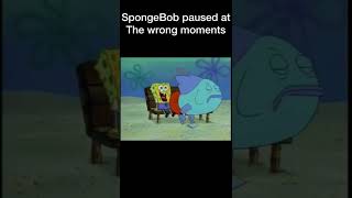 SpongeBob paused at the wrong time