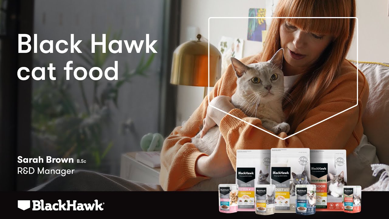 Black Hawk Cat Food Range Overview YouTube
