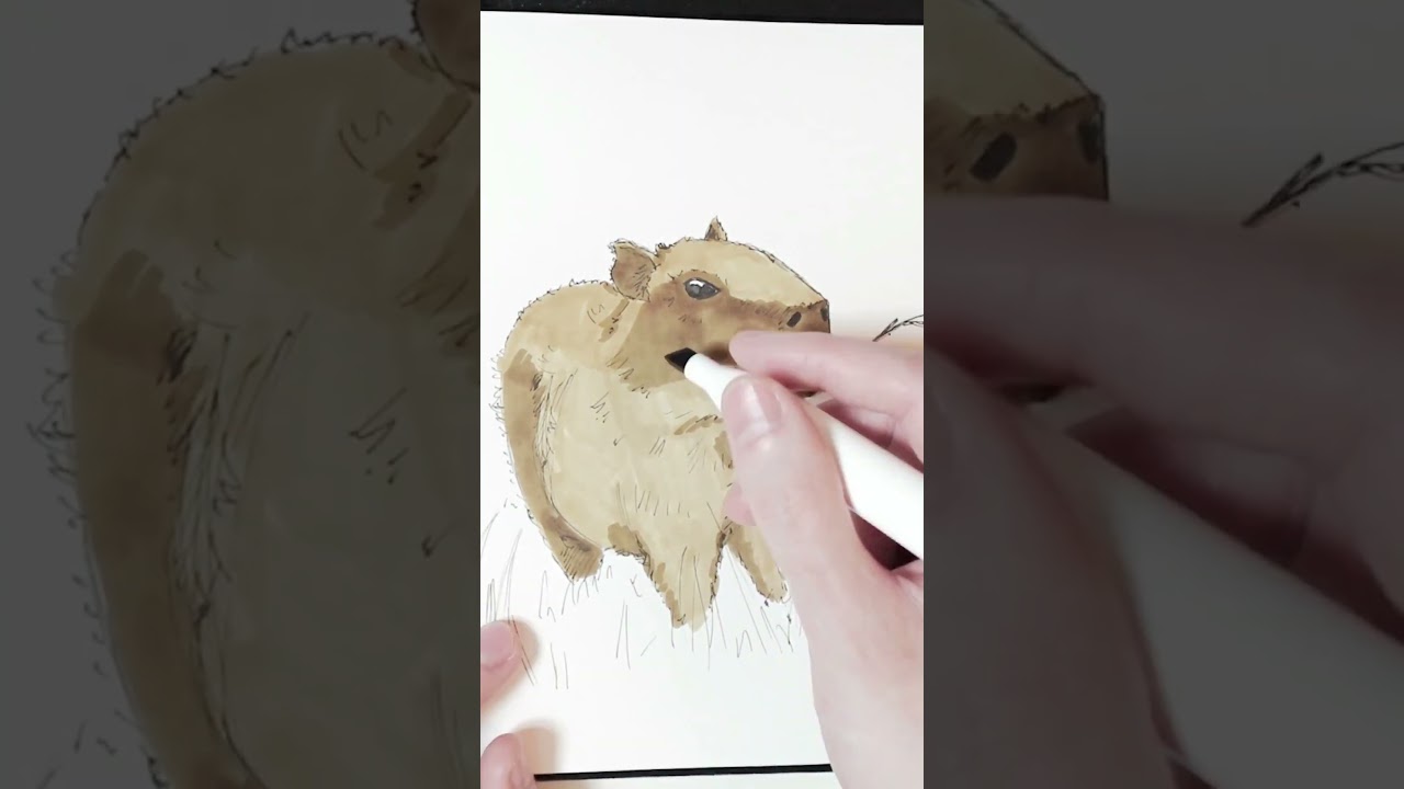 Drawing Capybara 