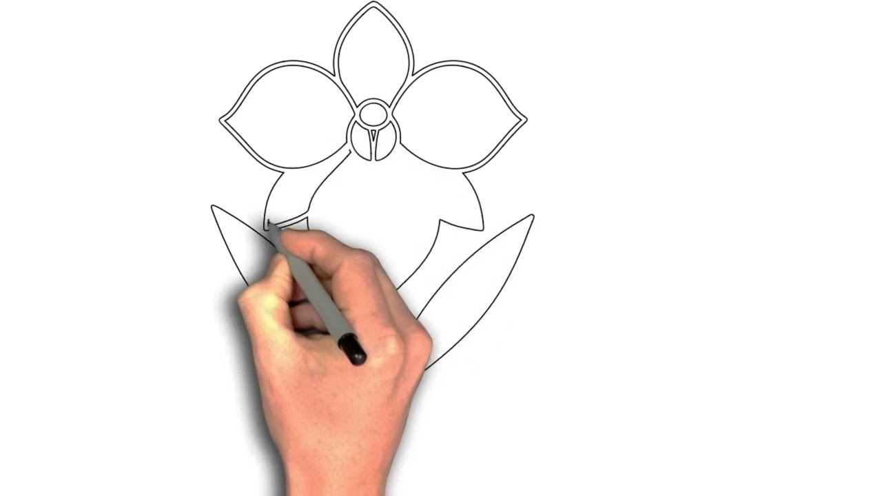 How to draw "Blue Beard Orchid Drawing | Rare Botanical Beauty | Easy Floral Art Tutorial"