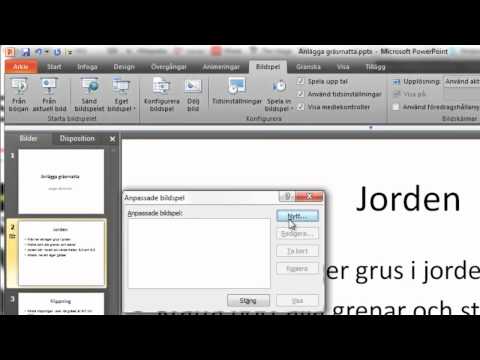 Bildspel i Power Point 2010