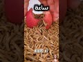 هل سبق وشاهدت الدود كيف يأكل مشهد مقرف