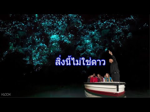 วีดีโอ: ถ้ำไวโตโมโกลว์เวิร์ม: คู่มือฉบับสมบูรณ์