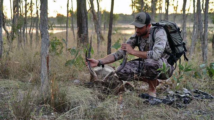 HONEYMOON RUSA HUNT IN AUSTRALIA with Remi and Dan...