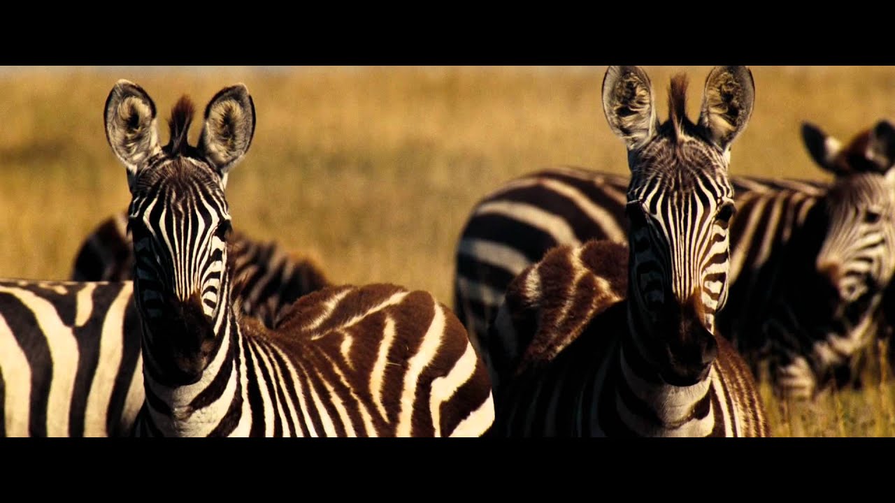 Transformers: DOTM - All hail Megatron!