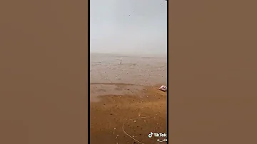١٨ كانون الثاني ٢٠٢٢ 