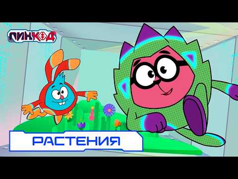 Все про растения | Смешарики Пинкод 2.0. Обучающие мультфильмы