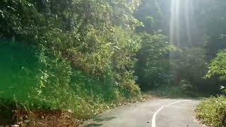  jalur horor CIREWOG ‼️gunung sangkur banjar jawa barat