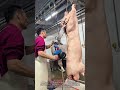 工場労働: 巨大電動ノコギリで半身豚肉を切断する職人技🐖🪚↓
