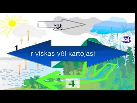 Video: Vandens Ciklas Gamtoje - Alternatyvus Vaizdas