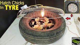 Egg Hatching In OLD TYRE - World's First TYRE EGG INCUBATOR || Hatch Chicks