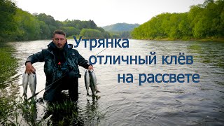 Утрянка | Ловля симы на рассвете | Сахалин by Алексей Никитцов 22,645 views 2 years ago 17 minutes