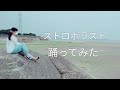 【SALAオリジナル振り付け】ストロボラスト 踊ってみた【三森すずこ】