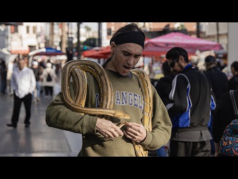 The Wild Streets Of Hollywood California