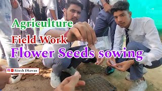 Agronomy field work flower seeds sowing|| Bsc Agriculture(2023) 1st year students agriculture