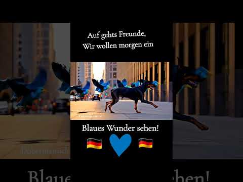 👍🏻🇩🇪💙💙🇩🇪