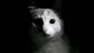 1 hour of silence broken up by sound effects on my PC