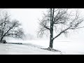 NYC Winter Storm - Prospect Park, Brooklyn, New York 4K