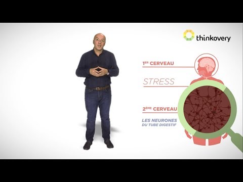 Vidéo: Stress Nerveux - Symptômes, Conséquences, Traitement