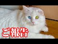 ⁠【ご報告】みんなで決めた今後のチャンネルについて（大袈裟w）⁠
