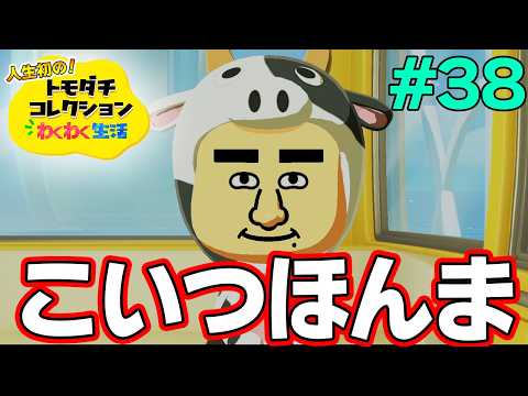 Let's Play] Enjoying My First Time Playing Tomodachi Life to the