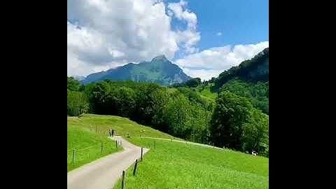 حالات واتس اب قرآن كريم الشيخ هزاع البلوشي🌷