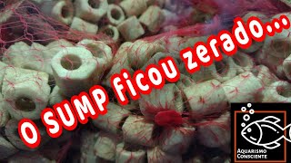 Limpeza Do Sump  Como Eu Limpo Meu Sump