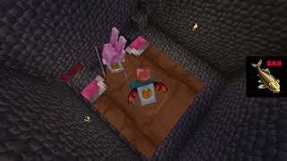 Minecraft with Shrew