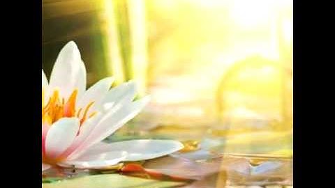 سورة البلد رائع جدا للقارئ عبدالله عبد المجيد بامي