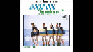 The Beach Boys  Surfer Girl  Album 1963