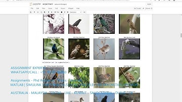 CNN image compression Python project - Python CNN based image compression - Python Code