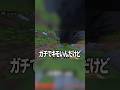 勘違い男に起きた本当にあった怖い話 #shorts #shortvideo #マイクラ #マインクラフト #minecraft