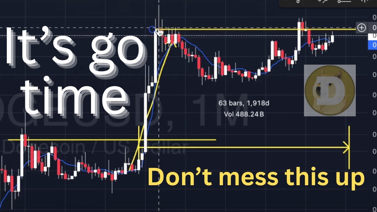 New paradigm of money. Is dogecoin the new bitcoin? Life changing wealth is coming.