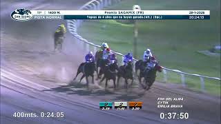 Vidéo de la course PMU PREMIO SAGAMIX (FR)