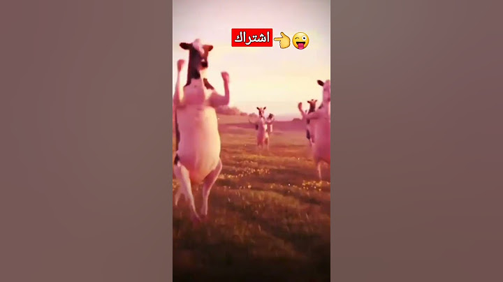 اغنيه عبودي بقر ترقص للاطفال