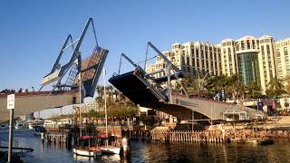 Most Zwodzony Eilat Izrael