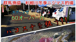 【群馬漁協　利根川冬季ニジマス釣場】ハコスチ　ルアー釣行